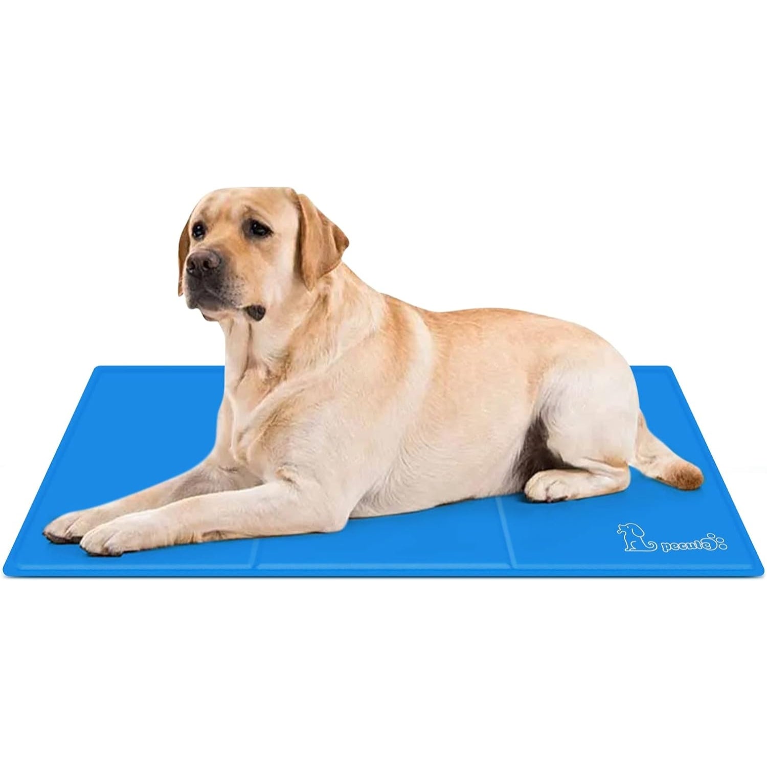 Kühlmatte Hund 90x50cm Kühl Hundedecke kühlmatte katze