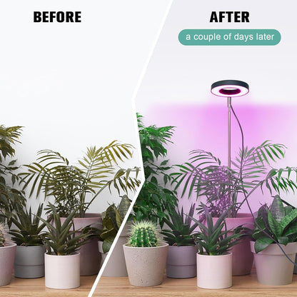 Pflanzenlampe LED Grow Lampe Höhenverstellbar Teleskopstange