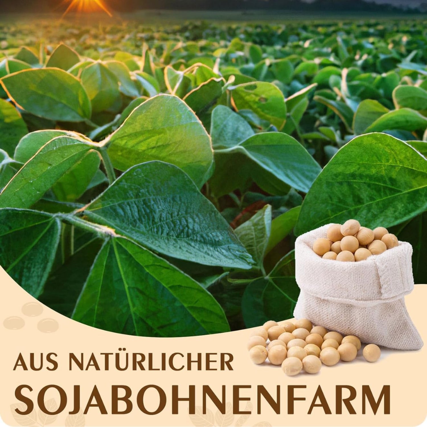 Bio Sojawachs für Kerzen 1kg Premium kerzenwachs zum gießen