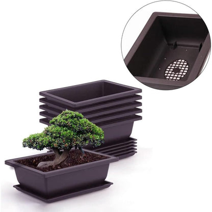 6er Bonsai Schale mit Untersetzer und Mini Gartenwerkzeug Set Kunststoff