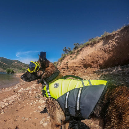 Schwimmweste für Hunde mit