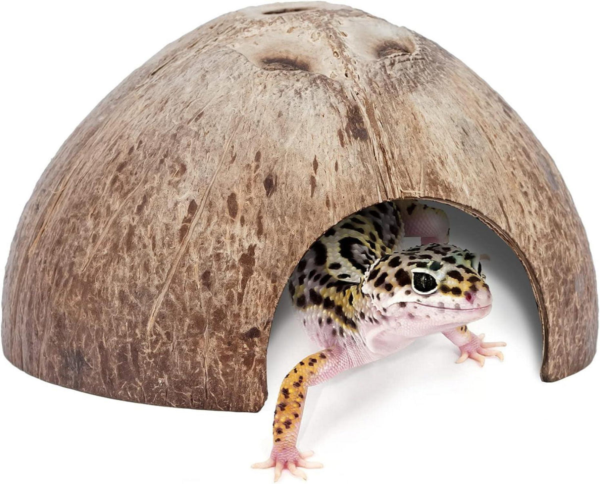 2er Pack Natürliche Kokosnuss Verstecke für Reptilien Aquarium Fisch