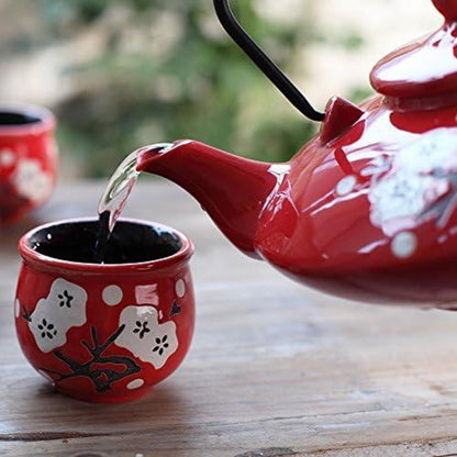 Japanisches Teeset Steinzeug Teekanne 800 ml 4 Teetassen Geschenk