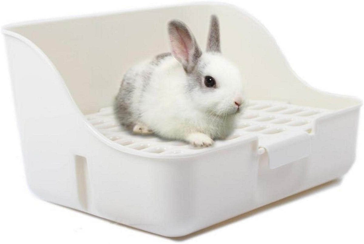 Kaninchenkäfig Katzentoilette für Frettchen Chinchilla