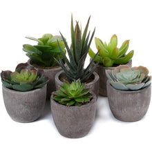 Künstliche Mini Sukkulenten Bonsai Kunstpflanze mit Topf 6er Set
