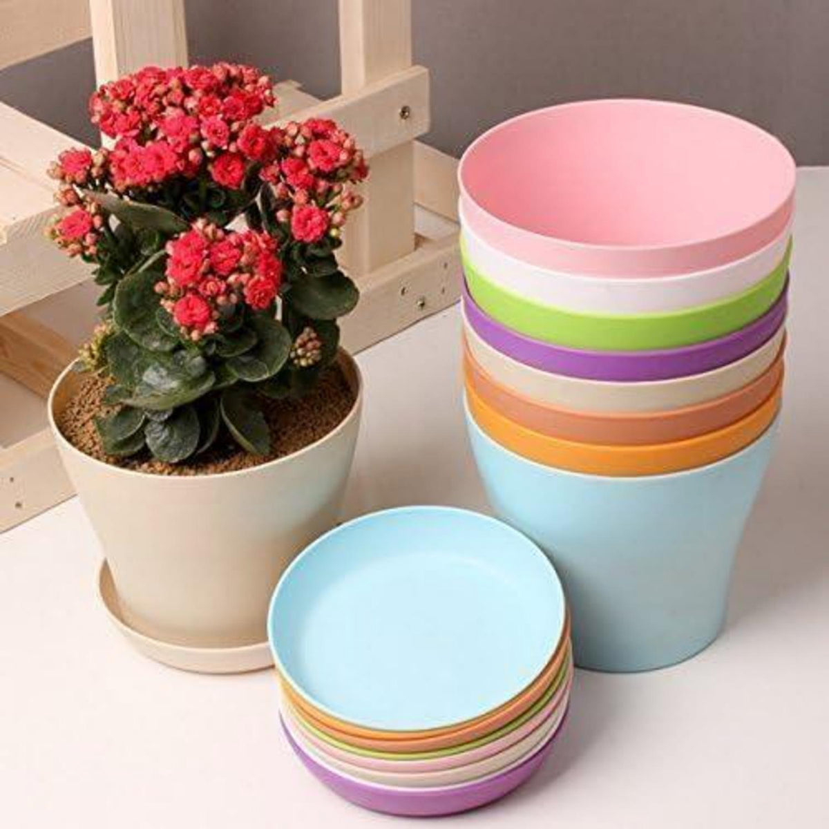 8 Pflanztöpfe 14cm mit Untersetzer – Ideal für Kakteen & Sukkulenten