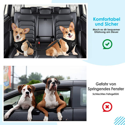 Anschnallgurt Hund Auto 2in1 elastischer verstellbarer
