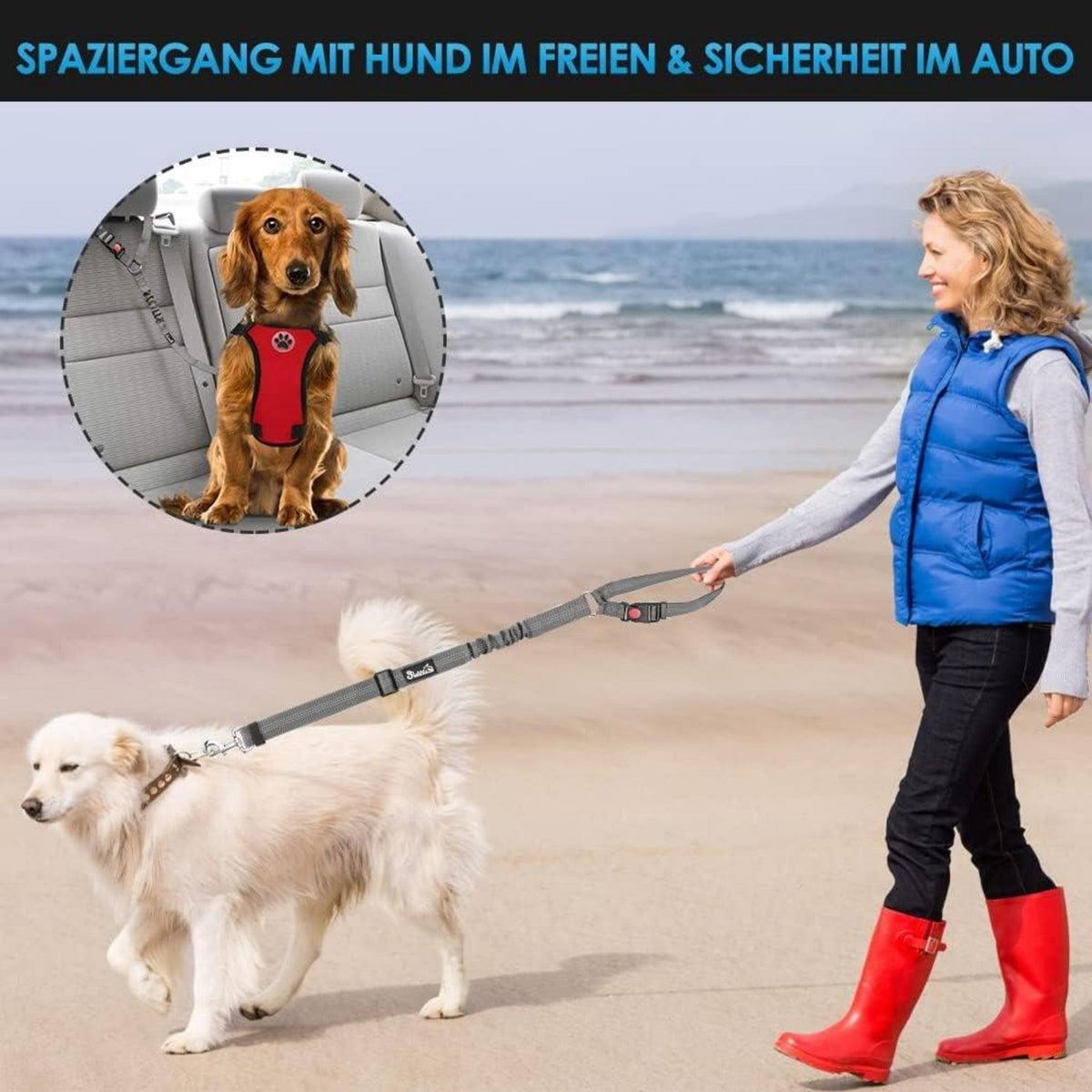 Hundegurt Auto Sicherheitsgurt reflektierend Kopfstütze 2