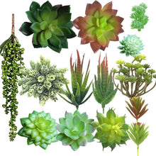 Künstliche Sukkulenten Set Faux Echeveria Bouquet Coastal Cottage 14x