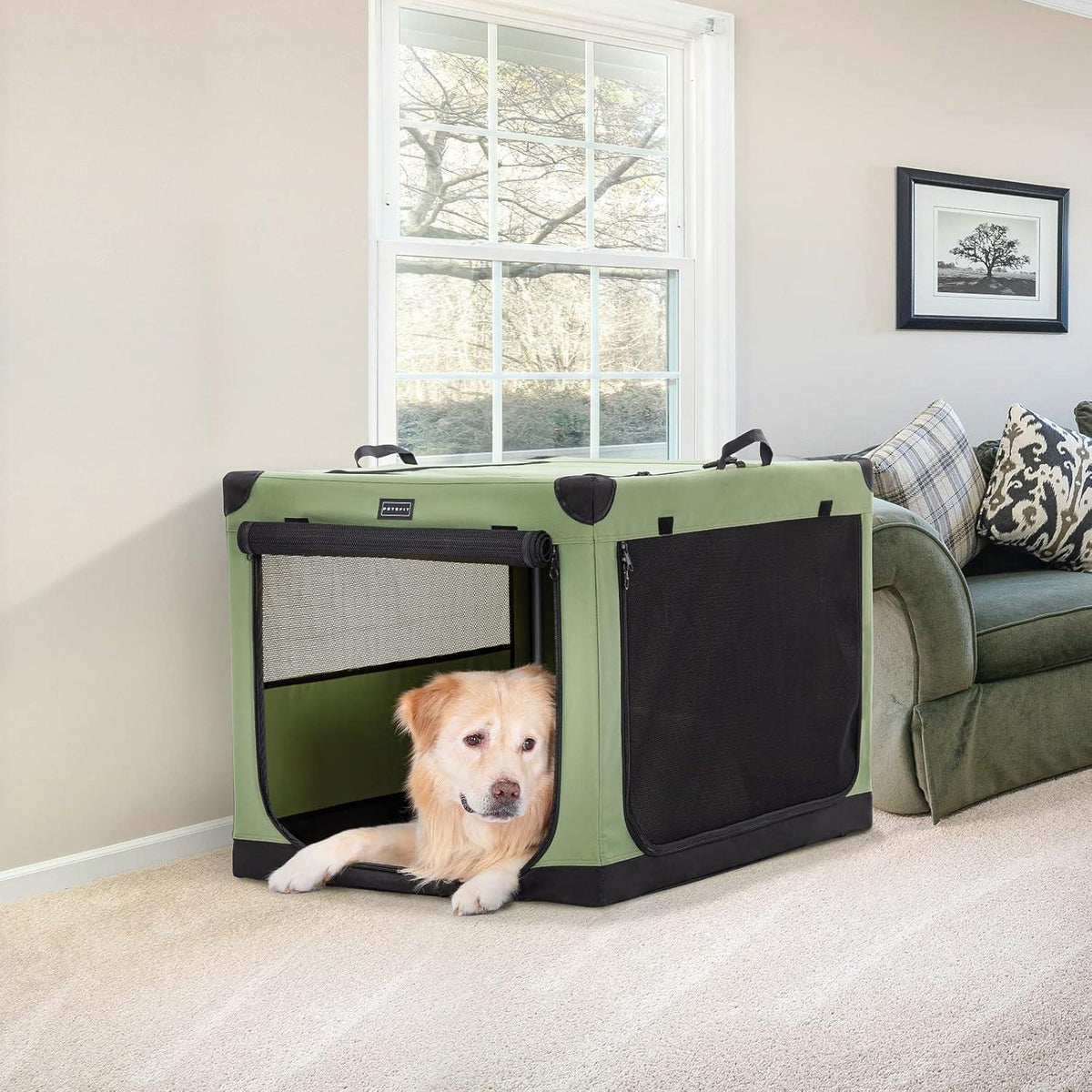 Petsfit Hundebox Reisebox Grün 90x60x59cm – Großer Hund