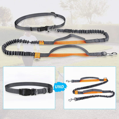Freihändige Hundeleine mit Bungee & Reflektoren (Orange)