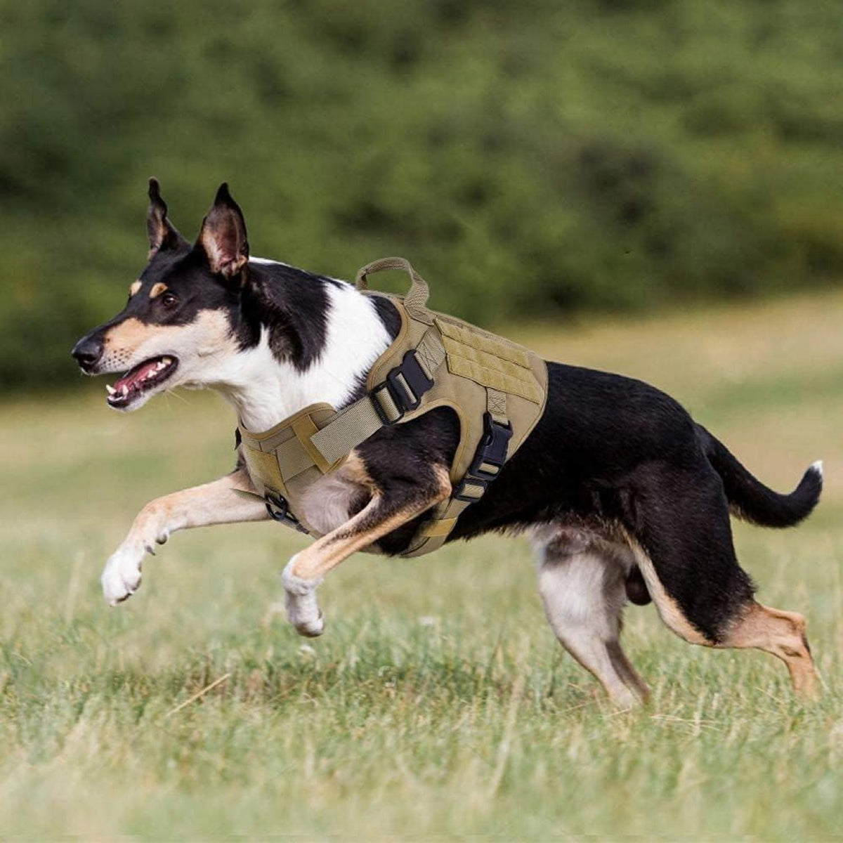 Taktisches Hundegeschirr mit MOLLE-System, L Braun
