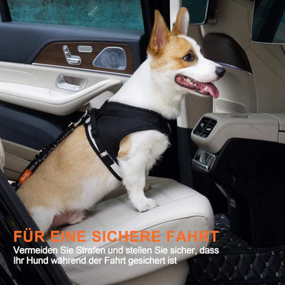 Toozey Hunde Sicherheitsgurt mit Elastischer Ruckdämpfung
