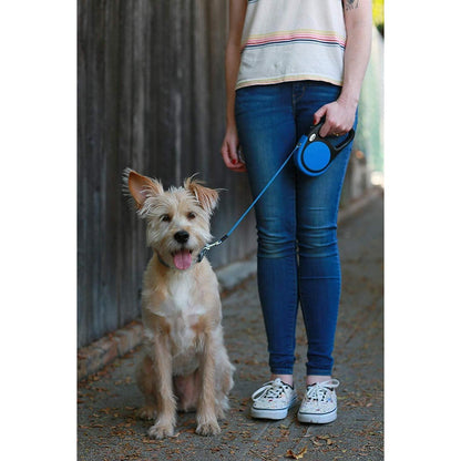 Hundeleine Rollleine für Kleine und Mittelgroße Hunde bis