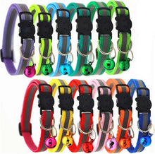 Katzenhalsband mit Glocke reflektierend fluoreszierend