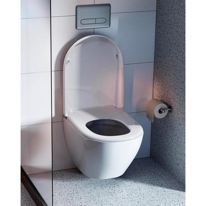 Toilettendeckel mit