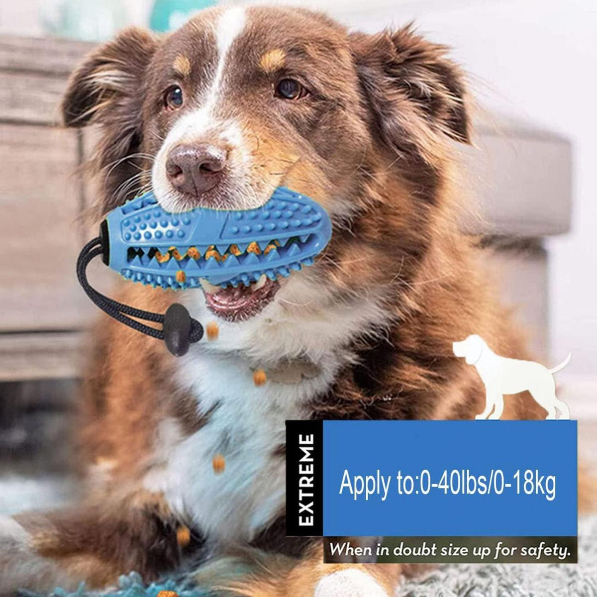 Aidiyapet Hundespielzeug Ball mit Zahnbürste und Kaustangen, robustes Naturkautschuk, Zahnreinigung, für Große, Mittelgroße, Kleine Hunde