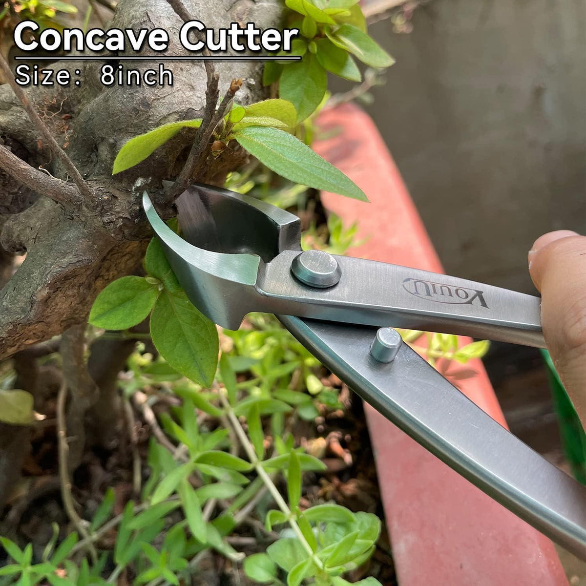 Bonsaischneider konkav 210 mm Edelstahl modern