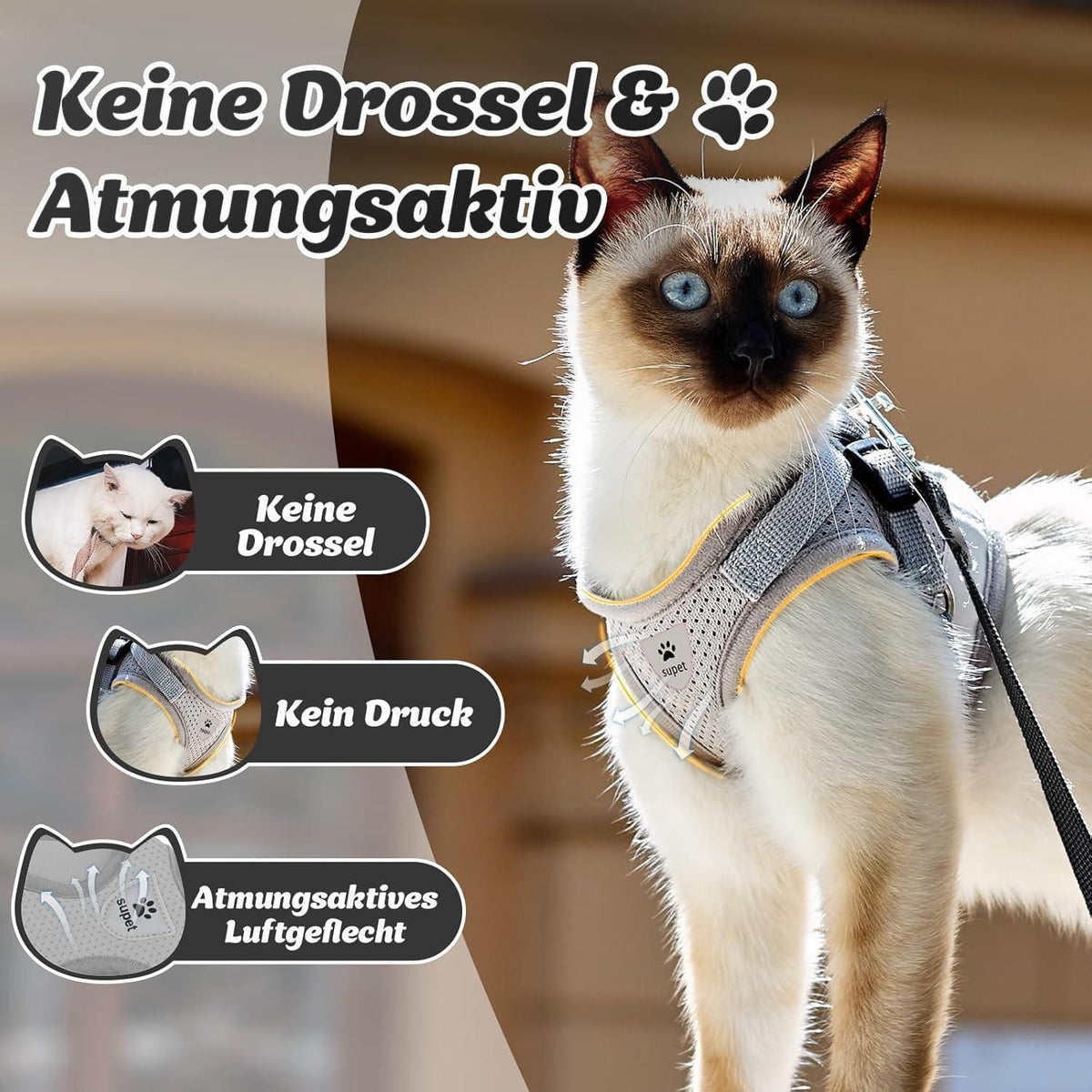 Katzengeschirr ausbruchsicher L Grau mit Leine