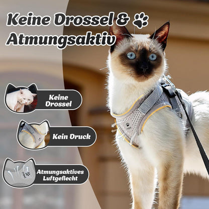 Katzengeschirr ausbruchsicher L Grau mit Leine