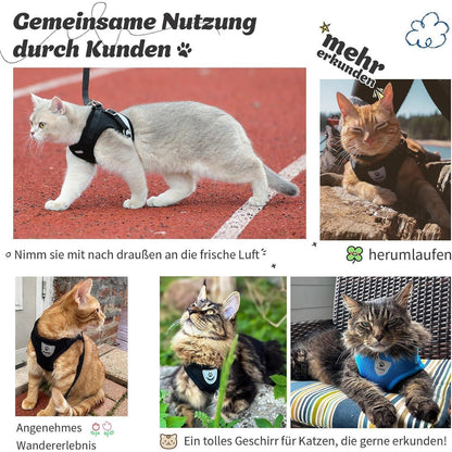 Katzengeschirr ausbruchsicher L Grau mit Leine