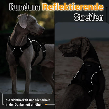Ausbruchsicheres Hundegeschirr für mittelgroße Hunde