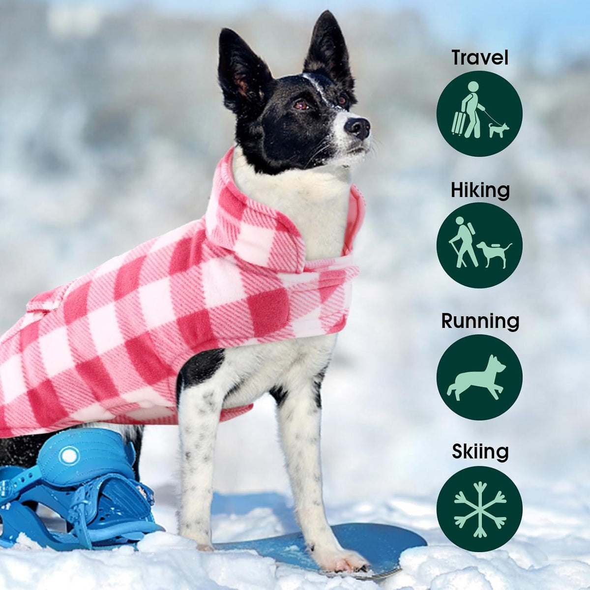 Hunde Wintermantel Mittelgroßer Warm Wasserdicht Outdoor mit Loch L