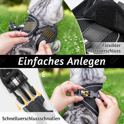 rabbitgoo Katzengeschirr mit Leine Ausbruchsicher und