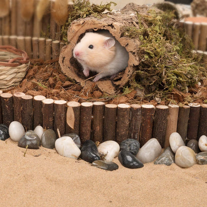 Niteangel Hamster Hängebrücke Kletterleiter 72,4 cm lang 7,1 cm breit