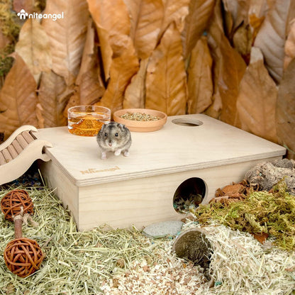 Hamsterhaus Labyrinth Verstecke Tunnel Spielzeug 6-Zimmer