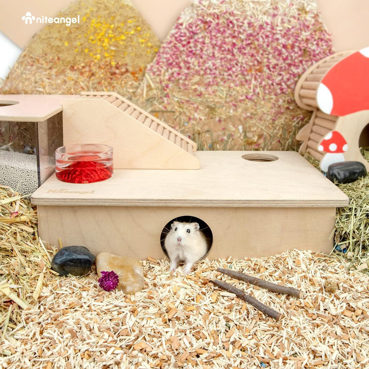 Niteangel Mehrkammer Hamsterhaus Labyrinth Spielzeug Hamster Gerbils Mäuse