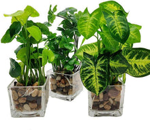 Kunstpflanzen 3er Set Faux Greenery im Glasvase