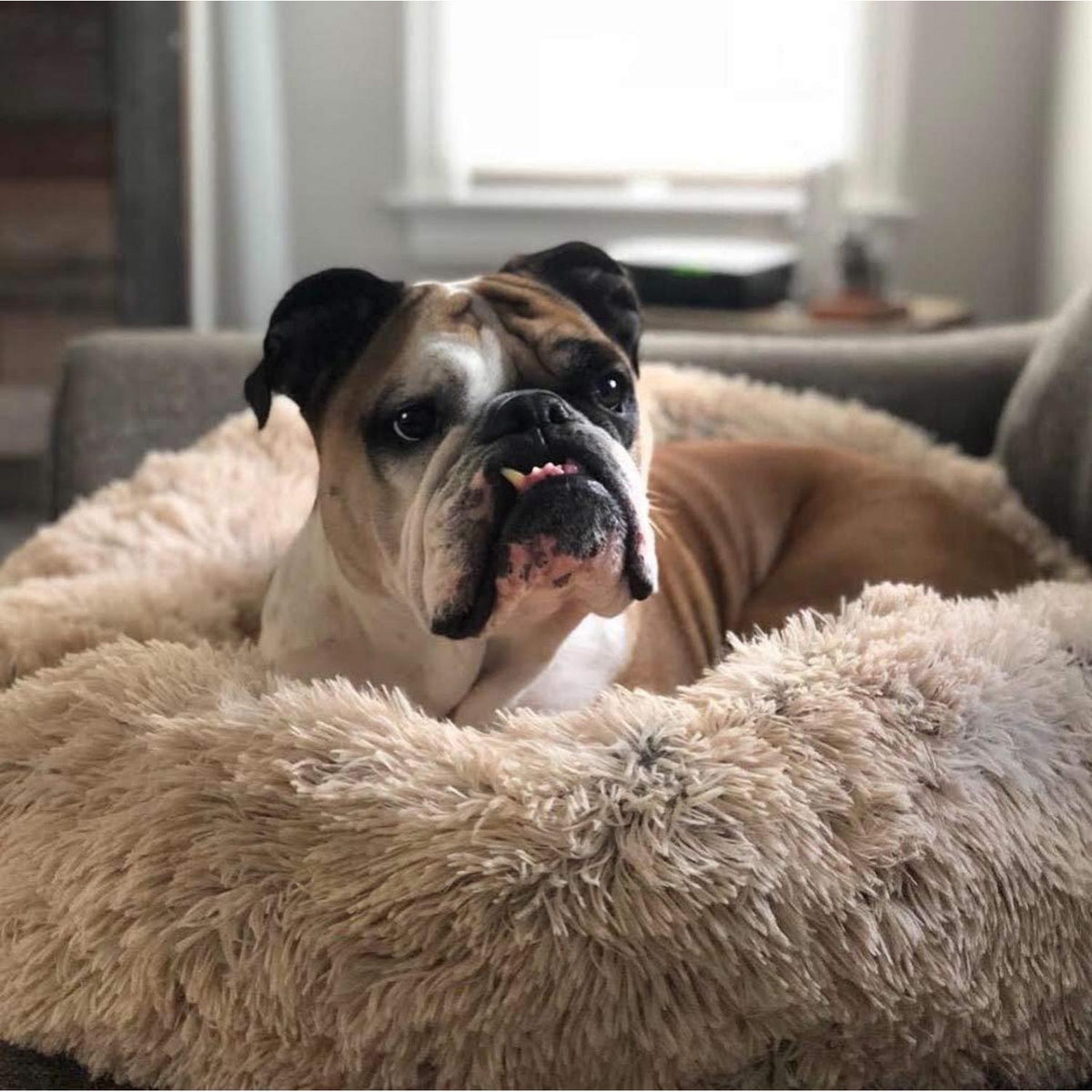 Flauschiges Hundebett Doughnut-Form XL 100cm Kaffee