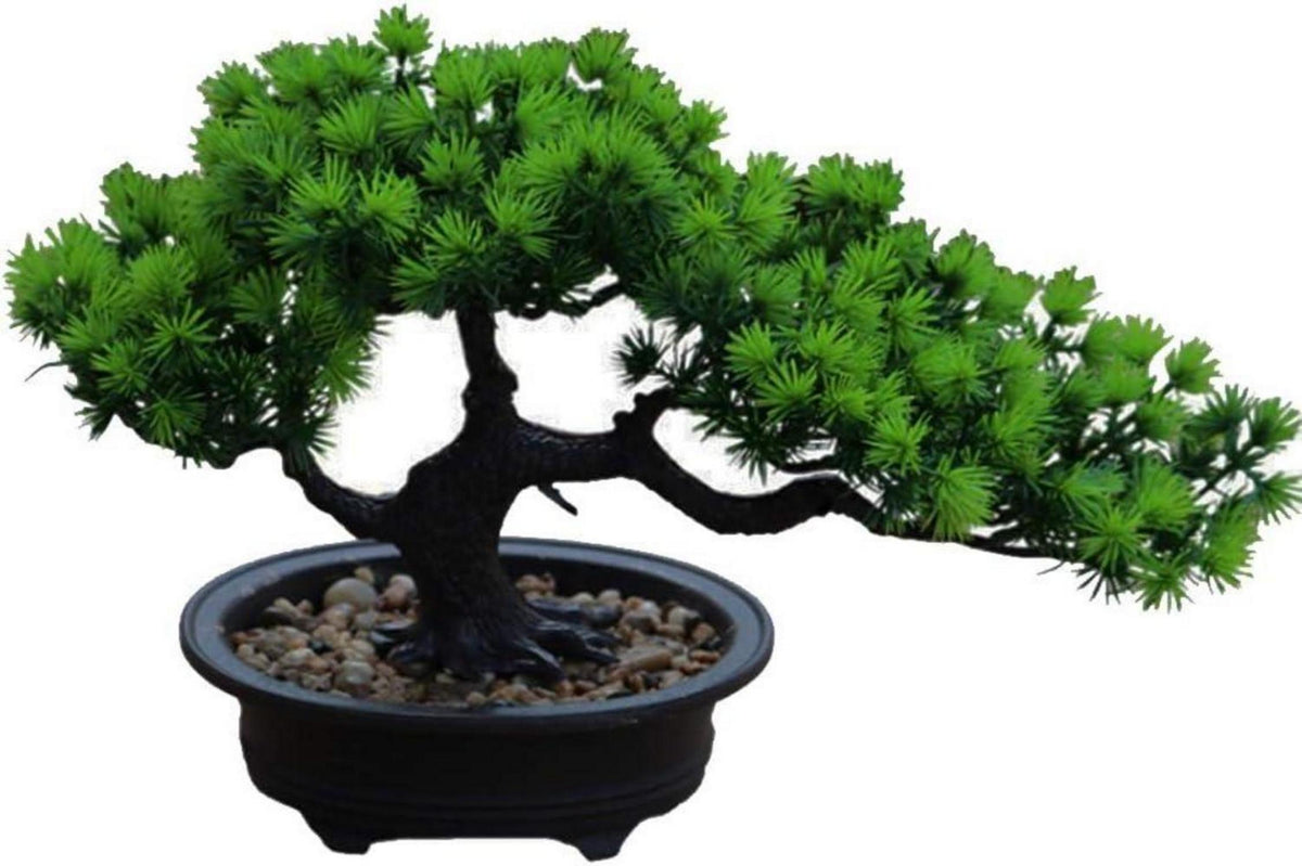 Künstlicher Bonsai-Baum Japanische Kiefern-Pflanze 19x34cm