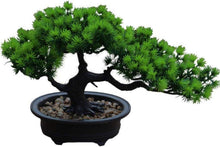 Künstlicher Bonsai-Baum Japanische Kiefern-Pflanze 19x34cm
