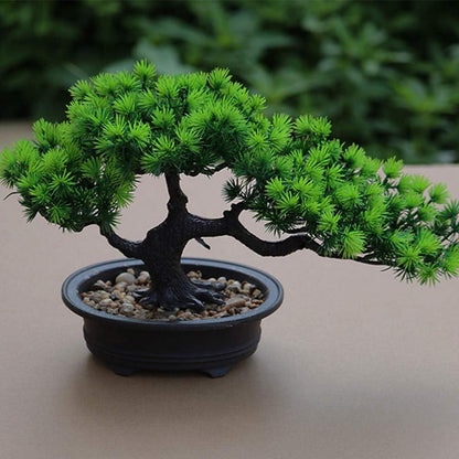 Künstlicher Bonsai-Baum Japanische Kiefern-Pflanze 19x34cm