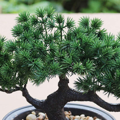 Künstlicher Bonsai-Baum Japanische Kiefern-Pflanze 19 cm 34 cm