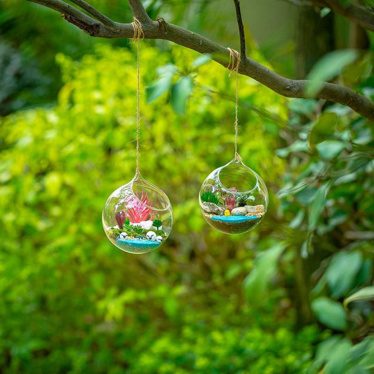 Hängende Glaskugel Vase 2 Stück Terrarium Sukkulenten DIY Design 12cm