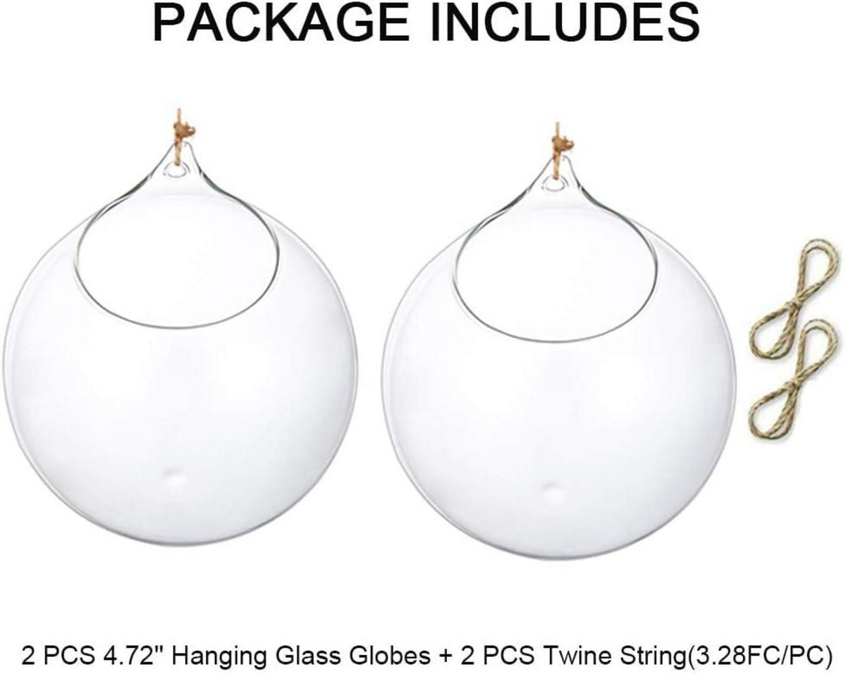 Hängende Glaskugel Vase Sukkulenten Terrarium Glas 2 Pcs 12cm Clear