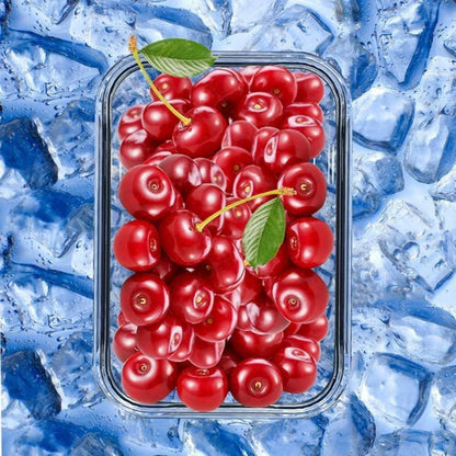 GENICOOK Lunchbox Bento Brotdose Glas Frischhaltedosen für