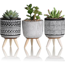 Künstliche Sukkulenten Pflanzen 3er Set 16.5cm Böhmen Stil