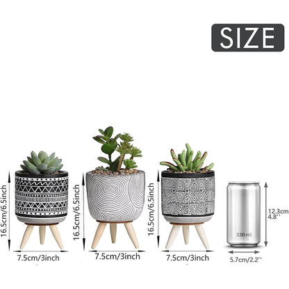 Künstliche Sukkulenten Pflanzen 3er Set 16.5cm Böhmen Stil