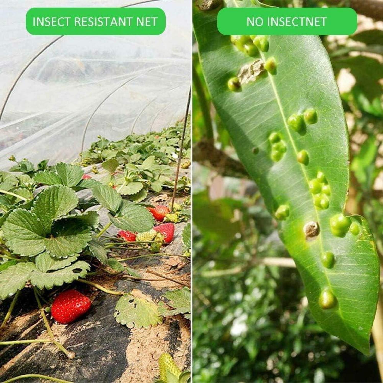 Insektenschutznetz Feinmaschig 2,5x10m Gemüsenetz Gemüse Obst Schutz