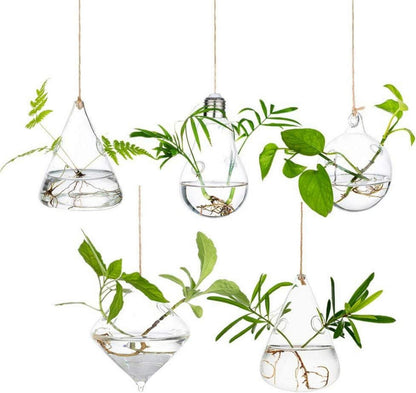 Hängende Glas Pflanzgefäße Wasserpflanzen Terrarium Kerzenhalter 5er