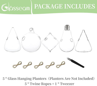 Hängende Glas Pflanzgefäße Wasserpflanzen Terrarium 5er Set