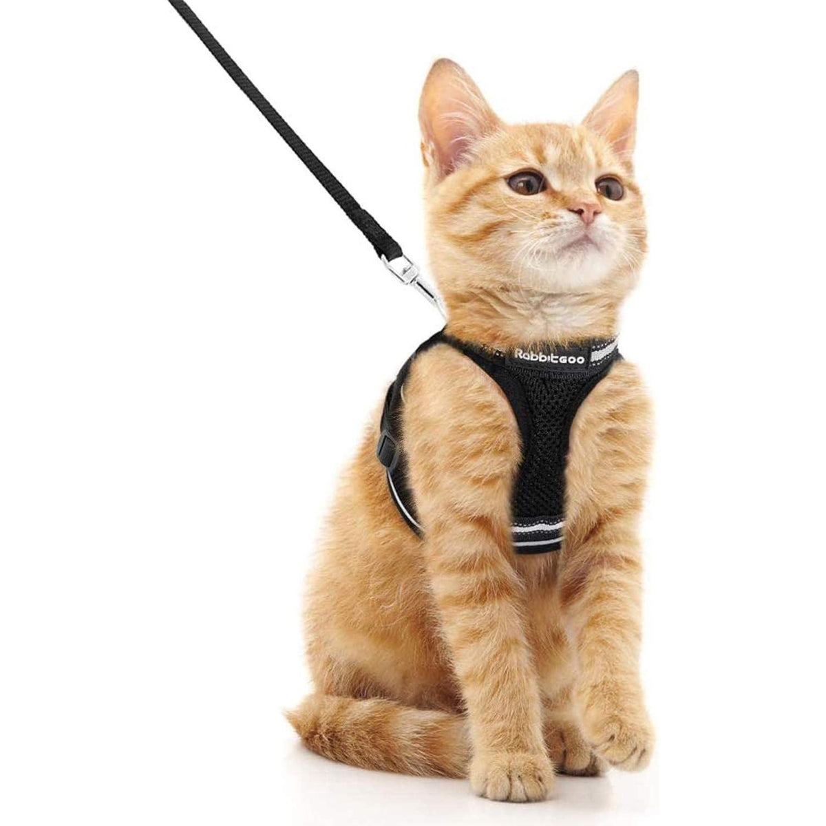 Katzengeschirr mit Leine, ausbruchsicher, verstellbar, Größe M, Schwarz