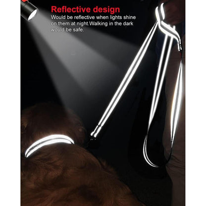 Joytale Reflektierende Hundeleine aus Nylon für Kleine