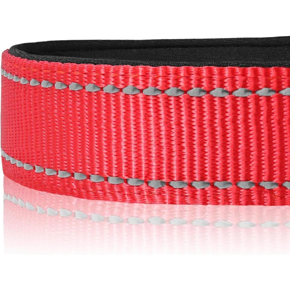 Joytale Gepolstertes Hundehalsband aus Neopren Nylon Rot M