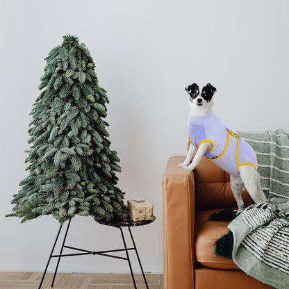 Hundebody Kuoser Nach Op Kastration Rüde Hündin Leckschutz