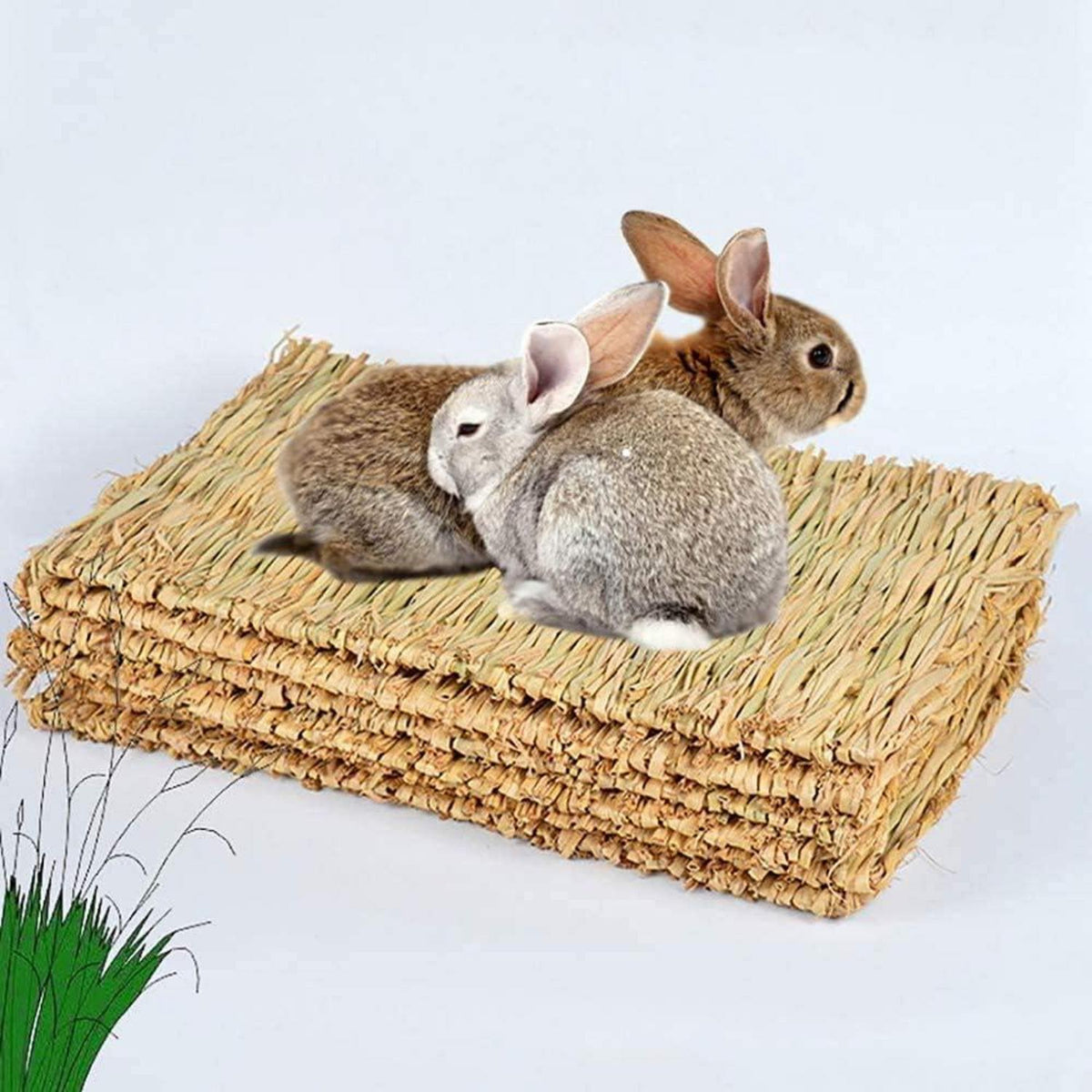 Grasmatte Kaninchen Kauspielzeug Meerschweinchen Chinchilla